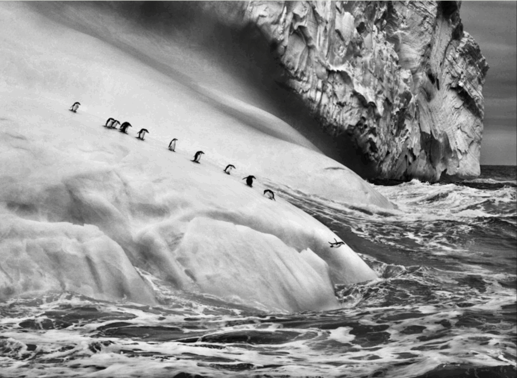 La sal de la Tierra de Sebastião Salgado